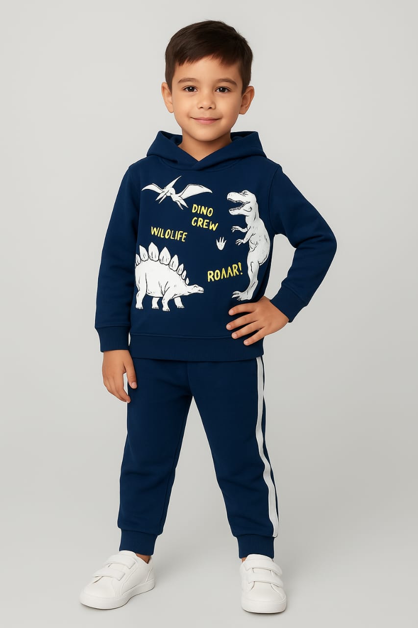 Dinosaurs Fleece Hoodie Tracksuit