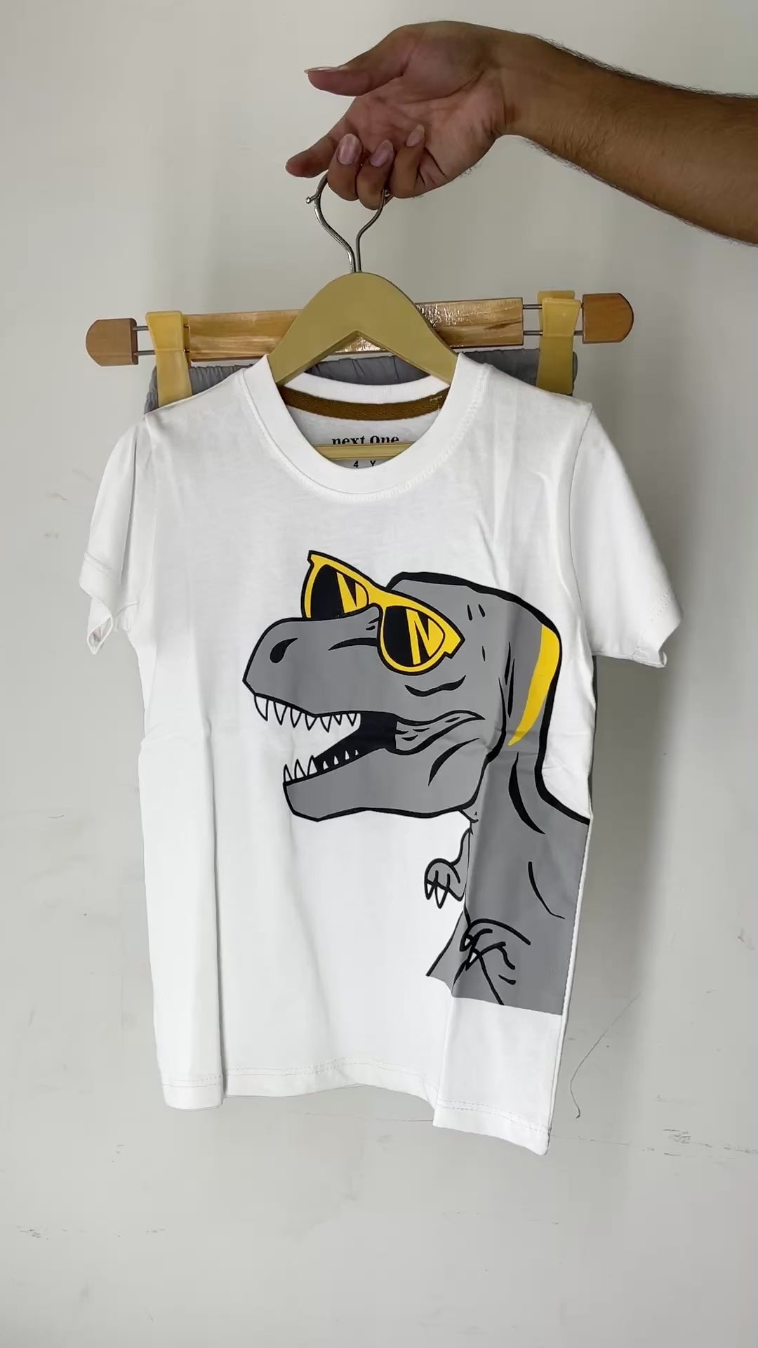 Cartoon Dinosaur Short Set